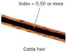 Animal Hair and Human Hair One of the more reliable ways to