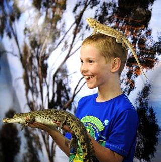 REPTILE KINGDOM Reptile Kingdom Australia is a company devoted to preserving native flora and fauna.