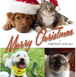 Merry Christmas Everyone. MAD MUTT Hey, it s Christmas for us too! Make sure your furry friends don t miss out this festive season.