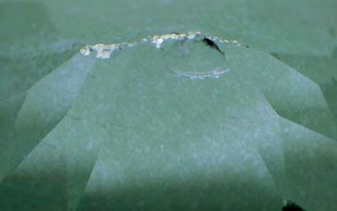 Figure 20. Spotty surface coloration is clearly visible on this treated topaz. Notice also the small chips at the culet that break through to the colorless material underneath.