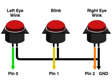 Buttons The eyes normally blink autonomously, but you can also add one or more buttons to make them blink (or even wink individually) on command.