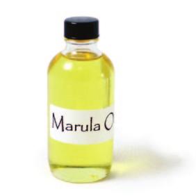 Marula oil is extracted from the kernels (nuts) of the Marula tree