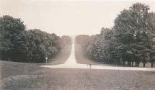 The Long Walk, Windsor, 1860 Image: 17.5 x 29.4 cm (6 7/8 x 11 9/16 in.) Mount: 43.2 x 57.