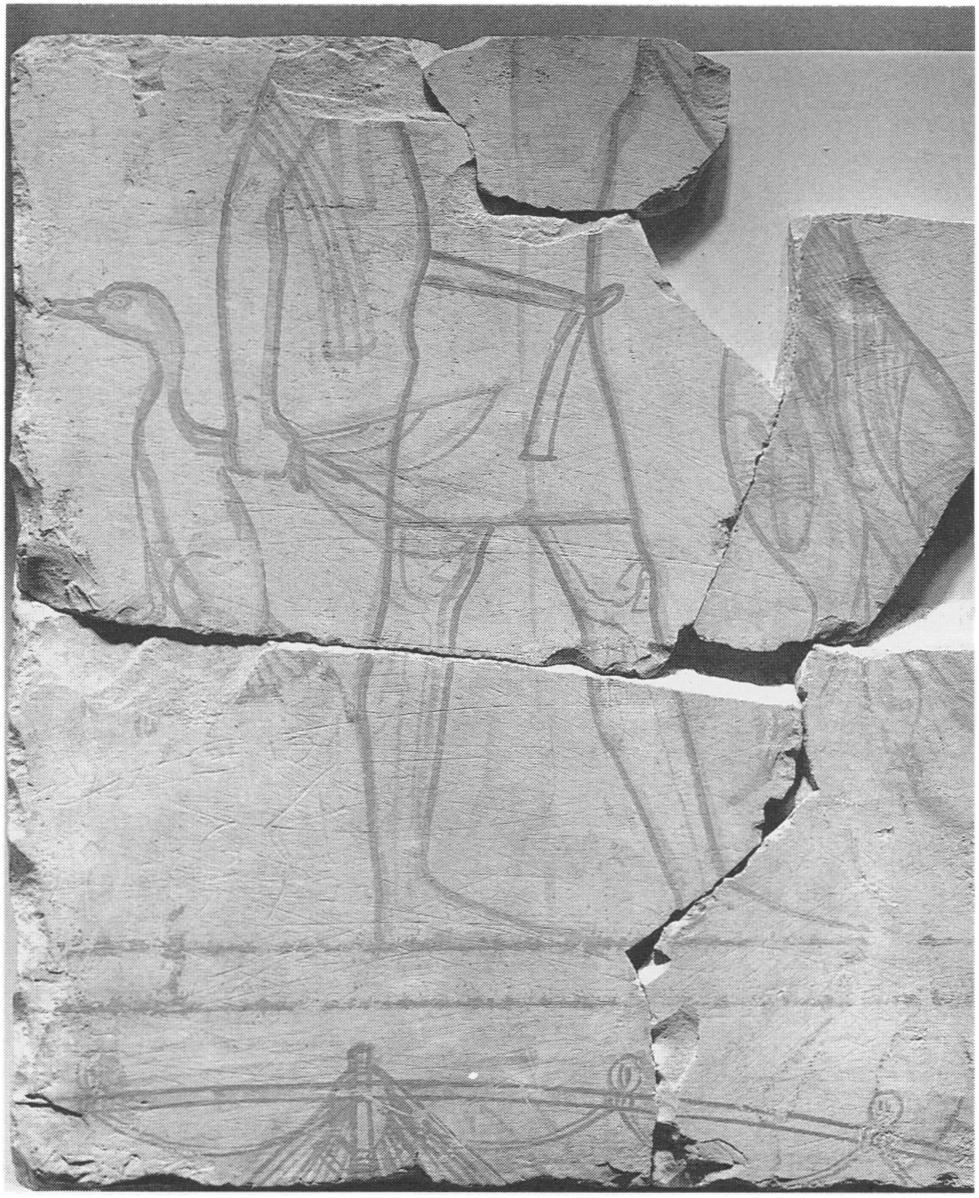 A fragment from the Brooklyn Museum shows a figure with heavy proportions and over-muscled legs, which demonstrate the influence of the Theban Kushite style based on Old Kingdom art (Figure 49).