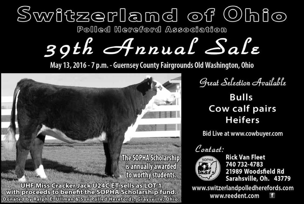 outstanding group of Polled Hereford heifers and a few select steers Any questions about the Sale or to receive a