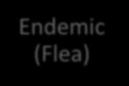 Epidemic (Lice) Endemic (Flea) Scrub (Mite)