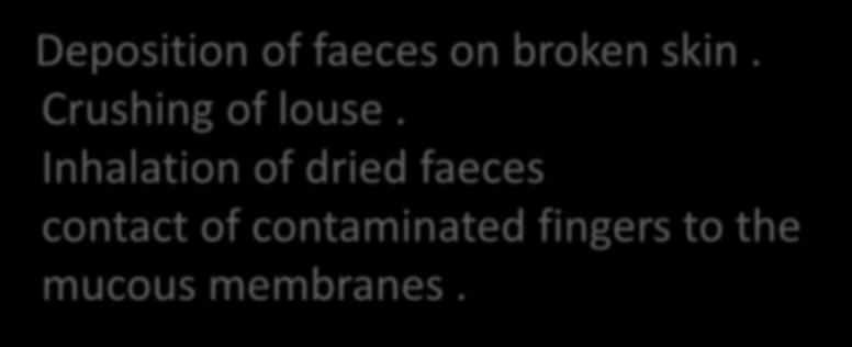 Mode of infection Deposition of faeces on broken skin. Crushing of louse.