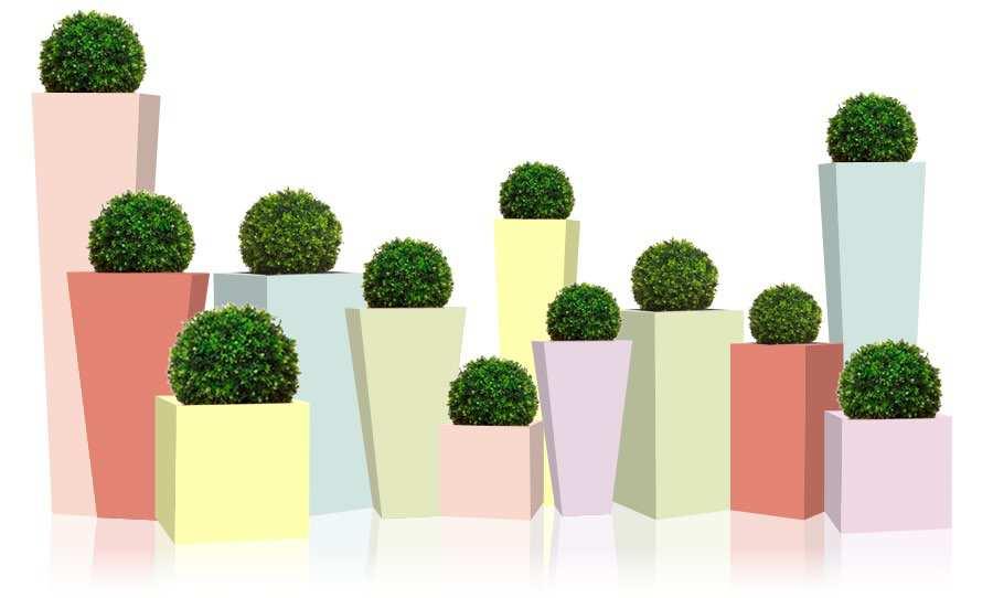 THE Sorbet Collection Limited dition Planters Inspired