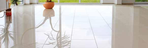CERAMIC FLOORS Sanitizing antistatic detergent Sanitizing multiuse cleaner, specific for the cleaning of ceramic floors.