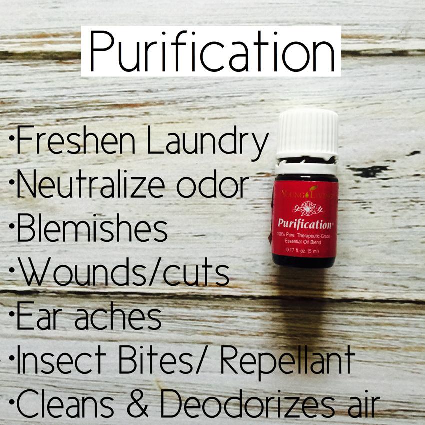 Purification is a blend of Citronella, Lemongrass, Lavandin, Rosemary, Tea Tree, and Myrtle essential oils.