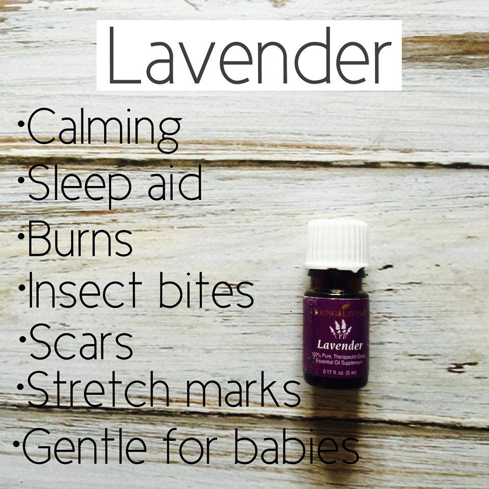 Lavender is the most versatile of all essential oils, and no home should be without it. Lavender is an adaptogen, and therefore can assist the body when adapting to stress or imbalances.
