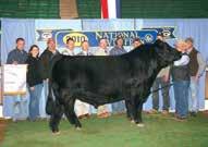1 130 RBS Yours Truly, Dam Pedigree for Lots 3-4: CNS Pays To Dream T CNS Dream On L1 MLF BL Jessie K33 RBS Yours Truly SVF/NJC Built Right N4 RBS S Lot 3 Breeder: J Cattle Company Lot 4 Breeder: