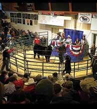 for a long time with the Hawkeye Breeders Sale