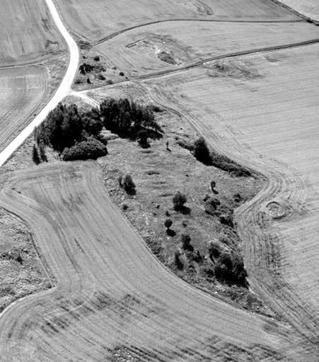 Howard Williams Fig. 2. Aerial view of the Skamby cemetery from the NNW. Photo by Jan Norrman, 14 August 1991.