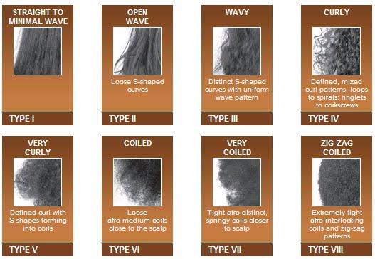 New human scientific hair classification