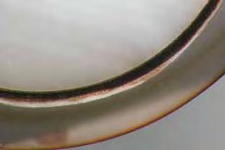 Figure 37. In this cross-section of one of the chocolate pearls (middle sample in figure 36), the white bead and a thin ~0.