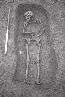 Infant Inhumations [1081], a small sub rectangular grave, contained infant (1080)