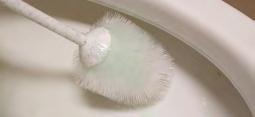 of the brush and starts to drip onto Clean toilet, rinse brush off with the bristles of the brush.