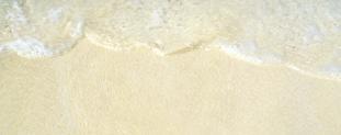 MARINE COLLAGEN AMINO ACIDS SEA MOSS SEA KELP CHITOSAN SEA SALT blonde 25ml, 0ml, 375ml & 1L sulphate free. paraben free. tone.