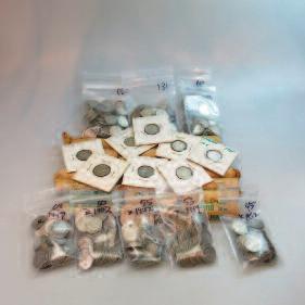 19 CANADIAN SILVER DOLLARS with two 1,000 grain sterling silver ingots and 5