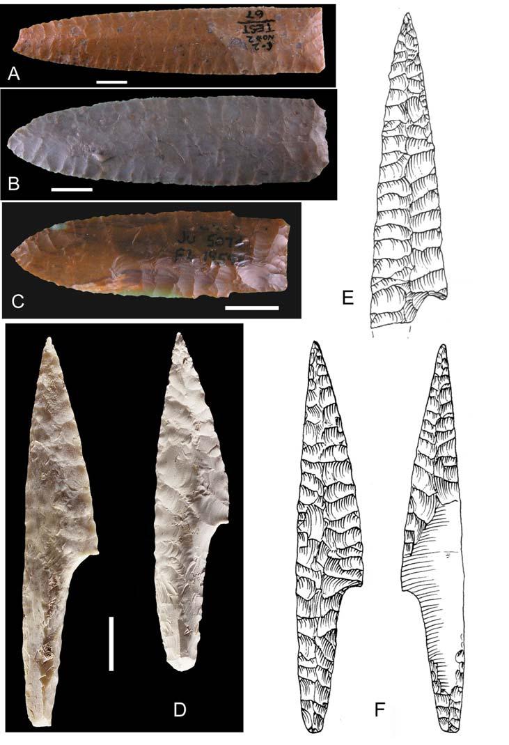 Fig. S4. Pressure-flaked Paleoindian points and Solutrean shouldered points. (A, C) from the Jurgens site in Colorado (9070 ± 90 B.P. S15).