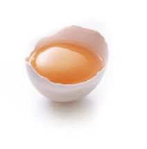 EM Protein is a hydrolyzed eggshell membrane, which is made from eggshell membrane and made as soluble inwater by our original production method.