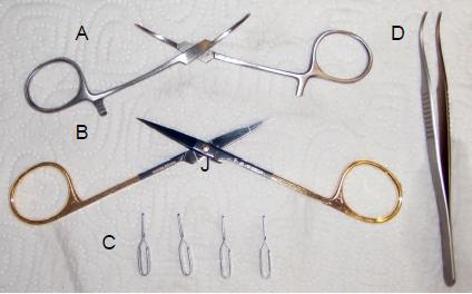 Recommended Surgical Tools A. Hemostat (curved) B. Fine scissors C. 4x Aneurism clamps D. Toothed forceps E. Burr tool F.