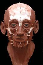 Facial Reconstruction Reconstructing the faces of our ancestors can offer us a fascinating glimpse in to the past.