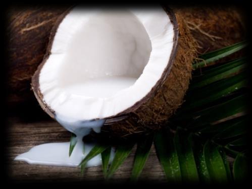Madagascar Coconut milk oil Cocos nucifera First cold press oil Rich in saturated and unsaturated fatty acids Moisturizing / Nourishing/ Softening/