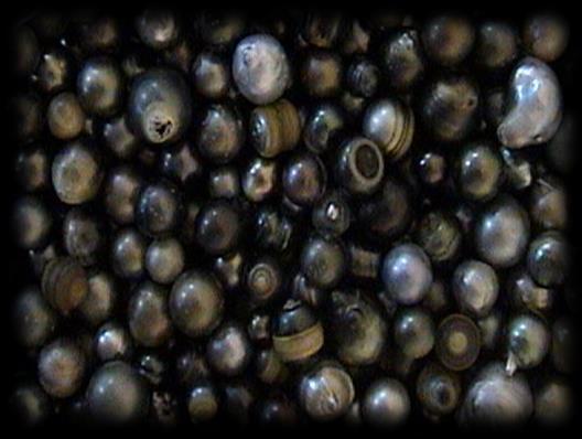 Tahitian Black Pearl Extract Composition: glycerin + water + pearl+ preservative Emolient