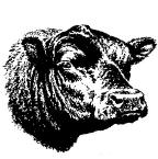 O K & T ANGUS BREEDERS ASSOCIATION 77th Annual Sale Wednesday, February 21, 2018 1:00 p.m.