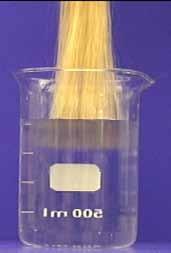 The non-reactive amine is substantive to keratinaceous substrates, such as hair to form a soft, flexible film.