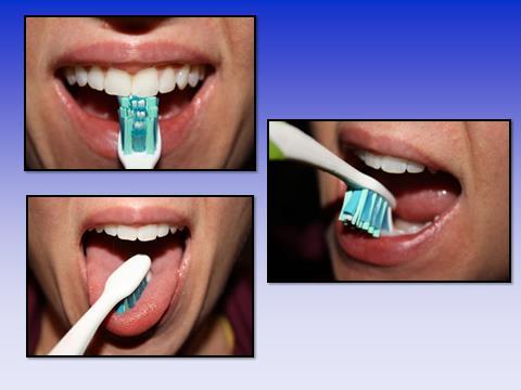 You will brush your teeth at the sink. The toothpaste may taste like mint or cinnamon or even bubblegum but you don t eat it.