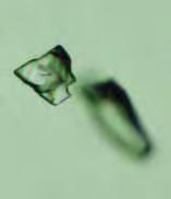 with the same shape that appeared dark in transmitted light, and were therefore empty (figure 33, right). Some of the smaller fluid inclusions survived the relatively low-temperature heat treatment.