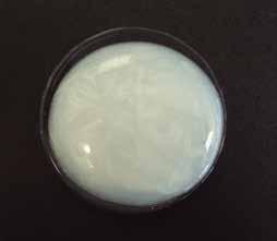 25 Mackanate EL (Disodium Laureth Sulfosuccinate) Surfactant 8.75 Rheological Rheomer 33T (Polyacrylate-33) Agent 2.