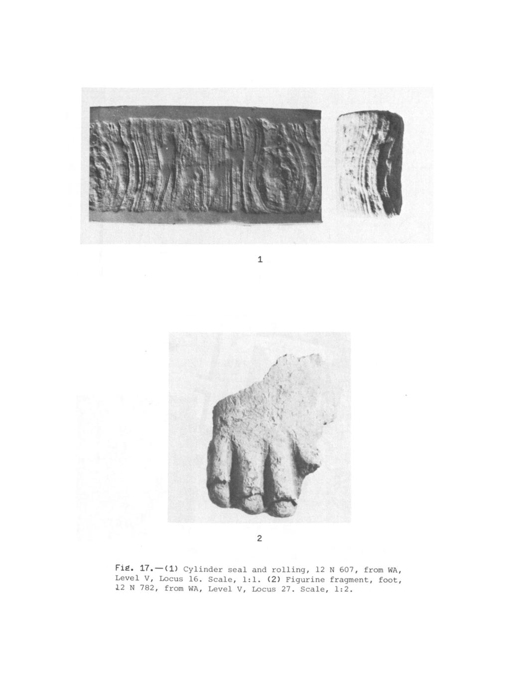o : a Fig. 17.-(1) Cylinder seal and rolling, 12 N 607, from WA, Level V, Locus 16.