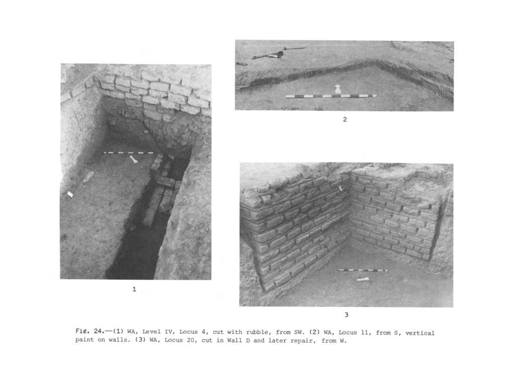 Fig. 24.-(1) WA, Level IV, Locus 4, cut with rubble, from SW.