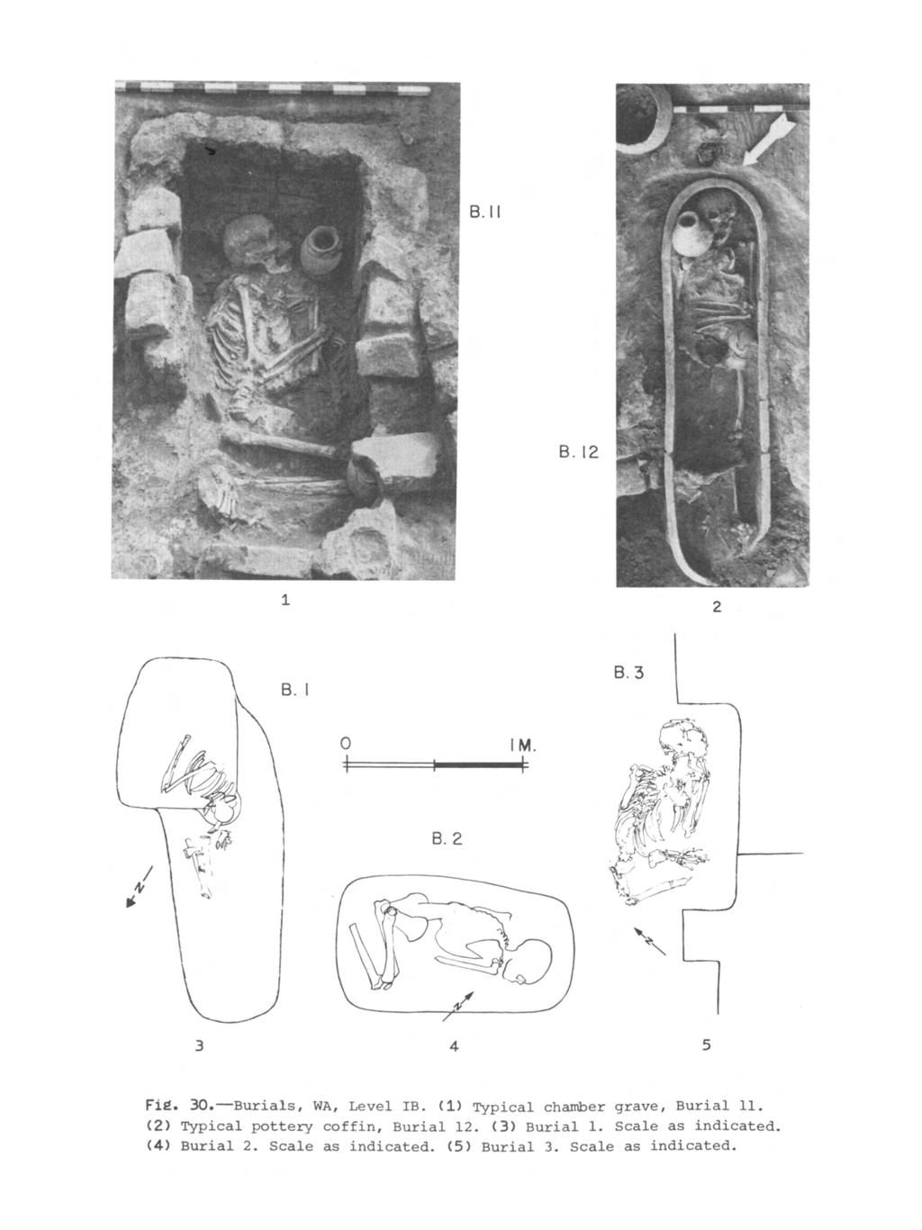 B. II B. 12 4.1~ 3. I 0 IM. B. 2 Fig. 30.-Burials, WA, Level IB. (1) Typical chamber grave, Burial 11.