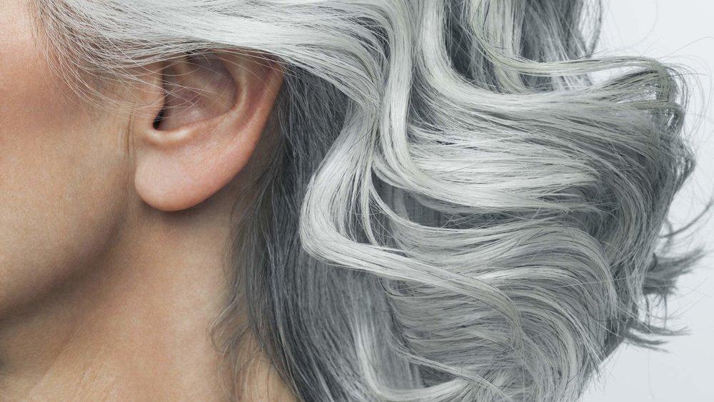 Guy. If you pluck one gray hair, two will grow back in its place This one only seems true because one gray usually means more grays.