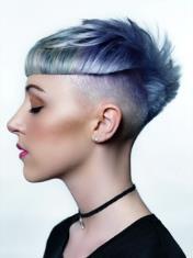 Services Level 2 Hair Colouring Services Level 2 Barbering The learner journals each include: