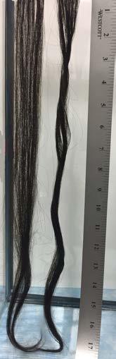Curled Hair at T=6hrs L- Untreated, R-Treated L- Untreated,