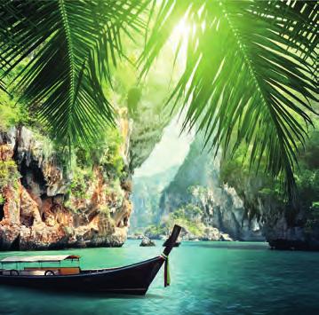 Thailand offers beatiful sandy beaches, vibrant nightlife, tasty food and its culture will impress you. I enjoyed bathing with elephants, a boat tour to the James Bond island and a jungle tour.