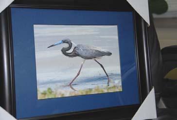 EPAF Auction Item 13 Framed and Matted Photo of Tri Color Heron Description: A detailed photograph of a Tri Color Heron in a natural