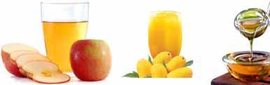Pulp/concentrate, clarified concentrate (Mango, Apple, Guava) & Tomato paste No. of Employees 100 Plus Established 1960 Top Management Mr.