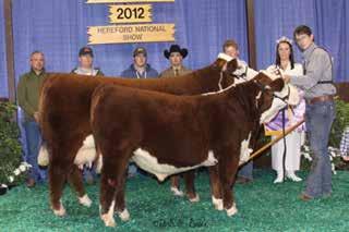 Those bulls are: LCC FBF Time Traveler 480, Beckley 758P Ontime 934S and PHH Rock Ridge Courageous 385. Flush to be managed by the consignors. Consigned by Rock Ridge Herefords, Versailles, Ky.