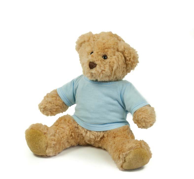 Clothing Collection T-shirt 71 This Teddy Bear t-shirt is the