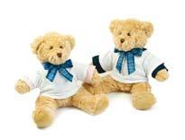The opportunities for promoting a brand or occasion are endless as the umbles Teddy