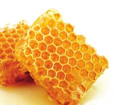 + life balance / bee products Busy honey bees are a true golden treasure of nature.