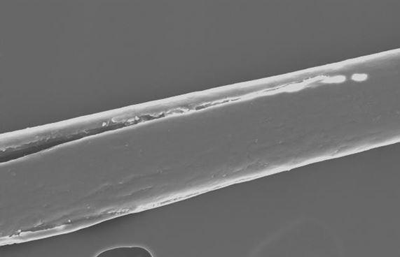 Treating hair with, makes a difference at the microscopic level. The SEM images depict how the outermost layer of the hair, the cuticle, is affected by thermal styling.