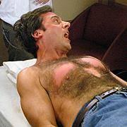 Chest Hairs Shaft diameter moderate and variable Tip often darker in